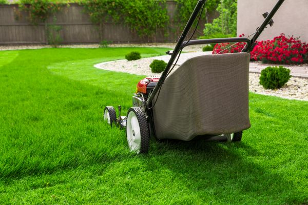 Grass Mowing in Saint Paul