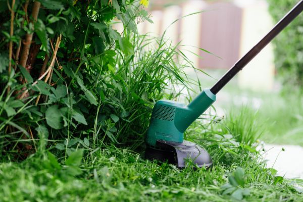 Weed Whacking in Saint Paul