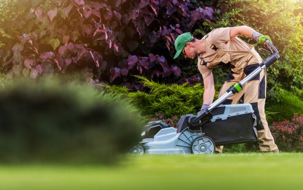 Yard Care Service in Saint Paul