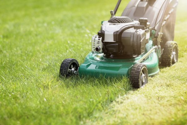 Yard Cutting in Saint Paul