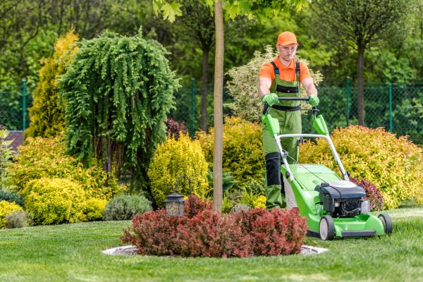 Yard Service in Saint Paul