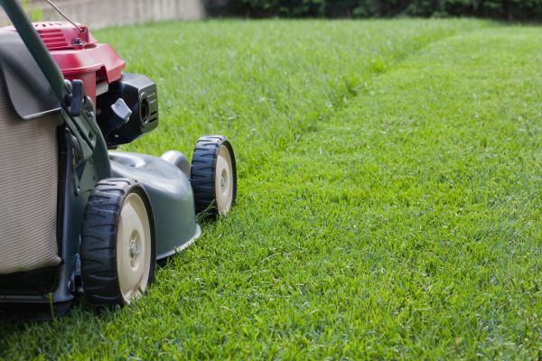 Residential Lawn Care Service