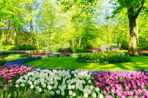 Spring Lawn Care in Saint Paul