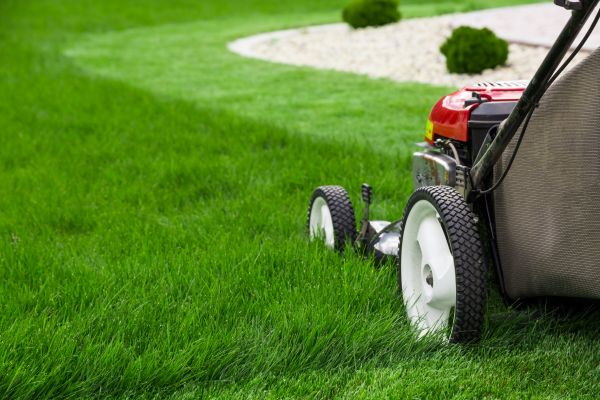 Lawn Service in Saint Paul