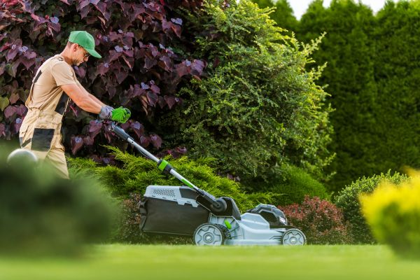 Lawn Management in Saint Paul