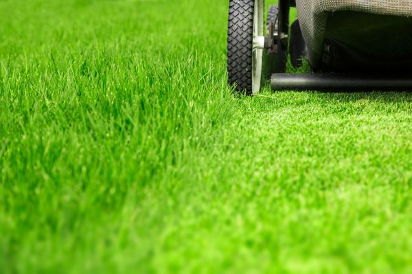 Weekly Lawn Care in Saint Paul