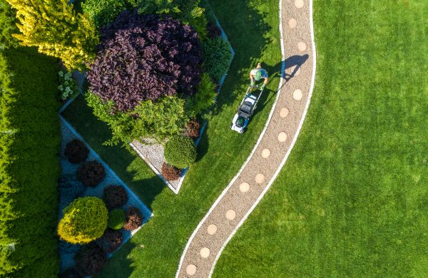 Mowing And Landscaping in Saint Paul