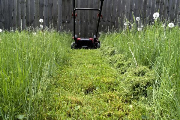High Grass Mowing in Saint Paul