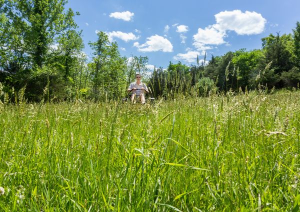 Long Grass Mowing in Saint Paul