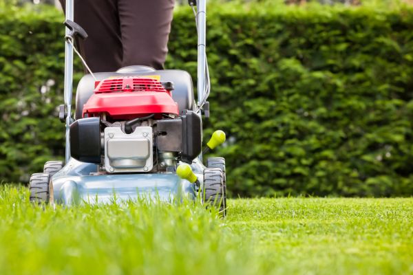 Grass Trimming Service in Saint Paul