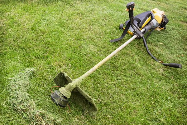 Hillside Weed Whacking in Saint Paul
