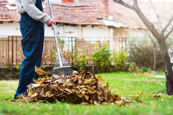 Routine Lawn Maintenance in Saint Paul