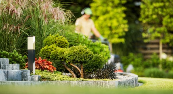 Residential Yard Maintenance in Saint Paul