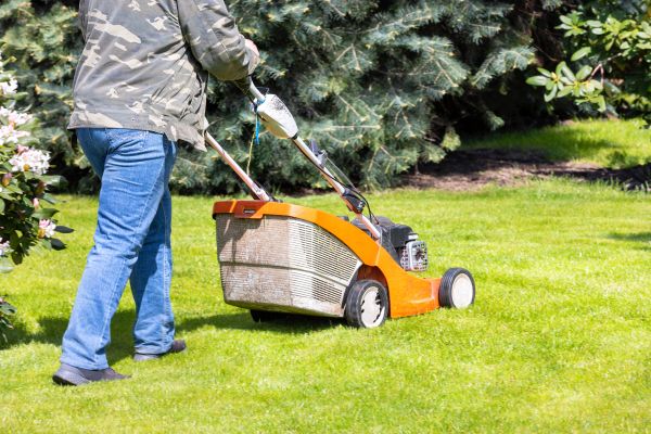 Springtime Lawn Care in Saint Paul
