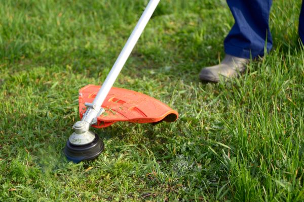 Lawn Weed Whacking in Saint Paul