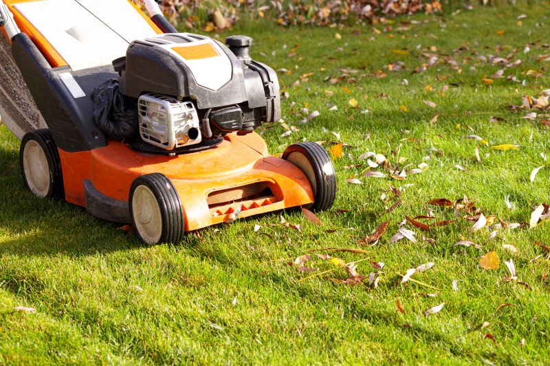 Lawn Cleanup Equipment