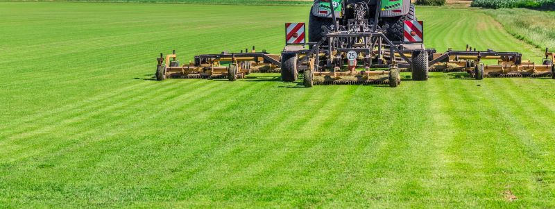 Grass Cutting Service
