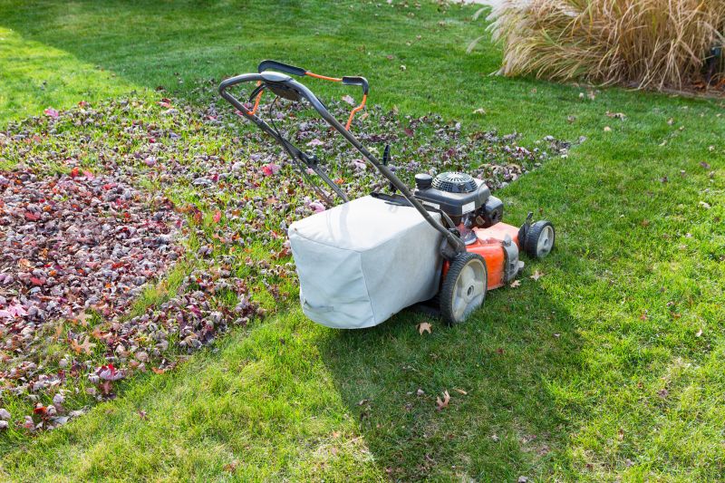 Seasonal Lawn Changes